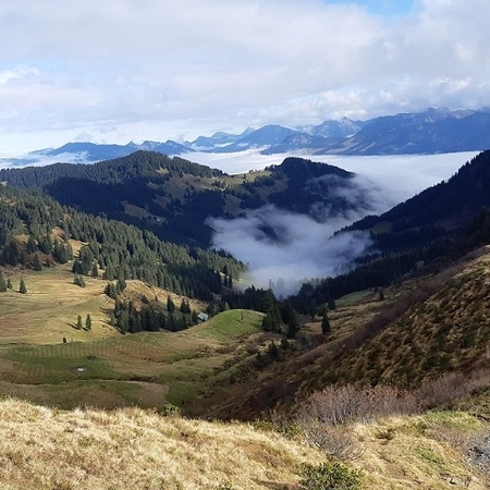 Hundetreffen 2019 im Allgäu (12)